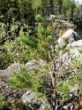 viaggiodi nozze 236